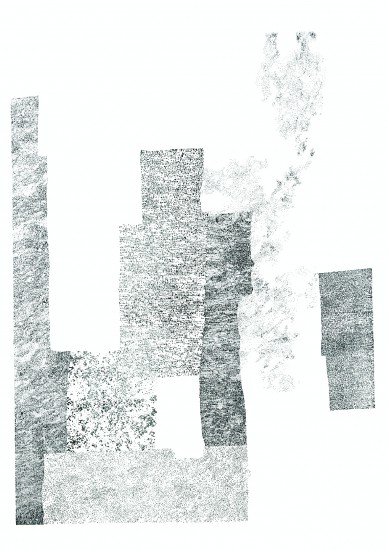 Herbārium II | litografia | 112 x 76 cm | 2016